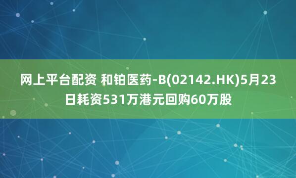 网上平台配资 和铂医药-B(02142.HK)5月23日耗资531万港元回购60万股
