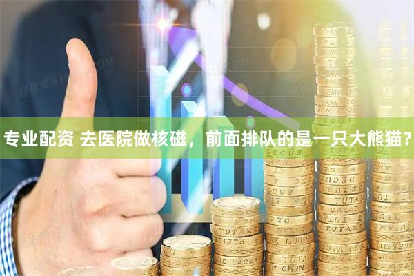 专业配资 去医院做核磁，前面排队的是一只大熊猫？
